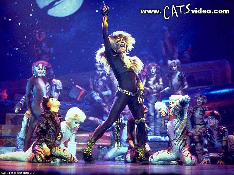Rum Tum Tugger pics!